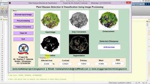 Plant Disease Detection and Classification using Matlab Project Code