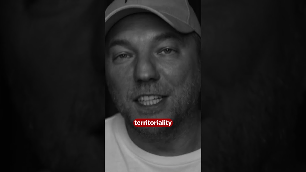 S459: Учащимся кодерам