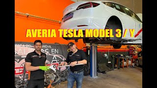 AVERIA TESLA MODEL 3 / Y