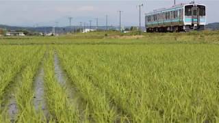 八戸線 キハE130系1431D 八戸長苗代 2019年6月13日