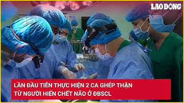 Lần đầu tiên thực hiện 2 ca ghép thận từ người hiến chết não ở ĐBSCL | Báo Lao Động
