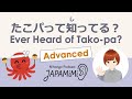 【一人語り】たこパって知ってる？｜Ever Heard of Tako-pa?【Advanced】 #SoloPodcast #Japaneselistening