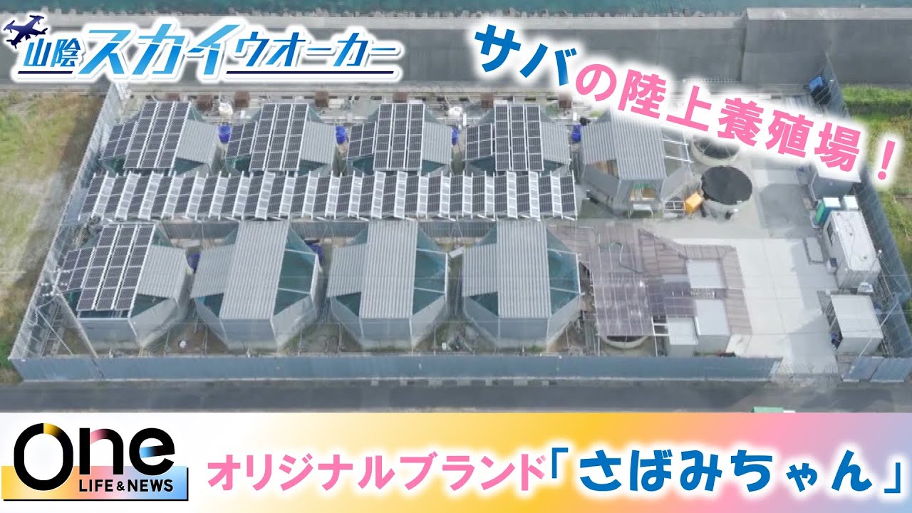 【鳥取県岩美町_サバの陸上養殖】ドローンカメラの目線で山陰各地を旅　山陰スカイウォーカー