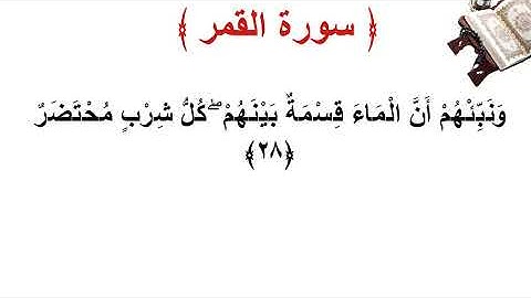 سورة القمر الأية 28