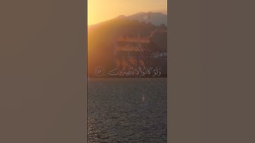 اكتب شي تؤجر عليه... #تلاوة_خاشعة #القرآن_الكريم #الابذكرالله_تطمئن_القلوب #صلوا_على_النبي