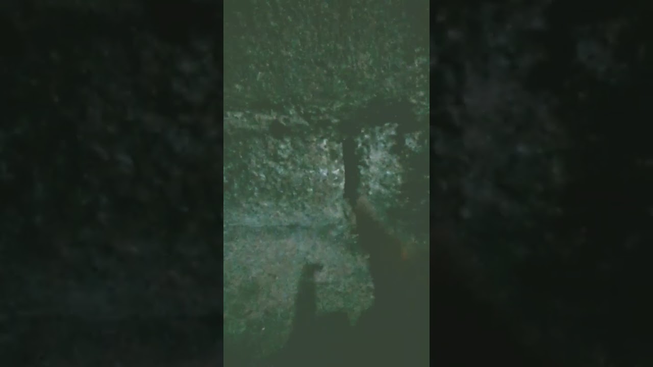 cave divers be like(help me im stuck😱😱😱😱😱)