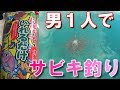 【サビキ】海で簡単な餌釣り！10年ぶりにサビキ釣りしてみた