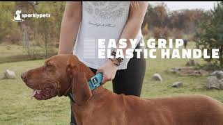 Commercial Product Video | Dog Collar | TACTIC VIDEO Studio