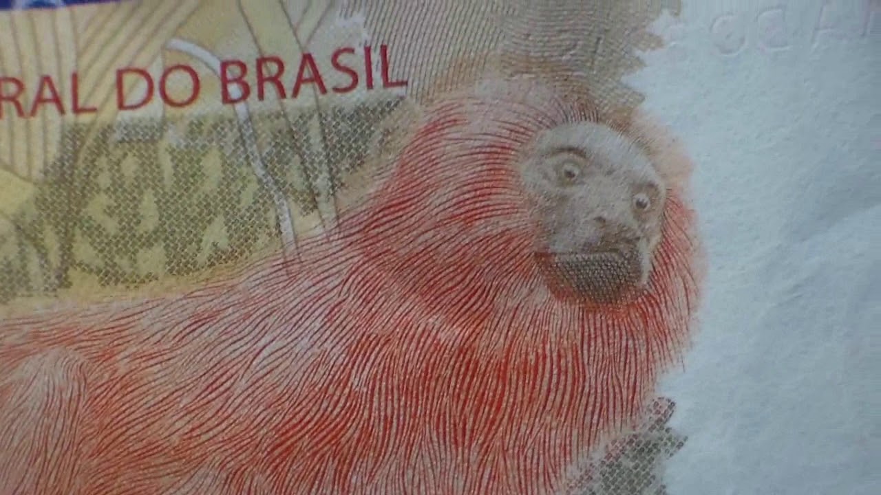 Animal Da Nota De 20 Reais