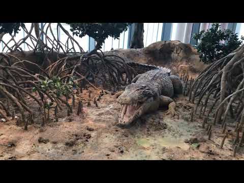 ARTIFICIAL CROCODILE