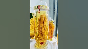 Rượu sâm tại cửa hàng sâm Hàn Quốc ông Lee -158 cách mạng tháng 8 phường 9 quận 3