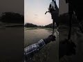 mang dasar gabus...sukanya bikin jantung copot! 😭 #fishing #fypシ #mancing #mancingmania #angler