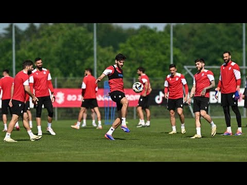 საქართველო - მონტენეგრო - პირდაპირი რეპორტაჟი პირველ არხზე