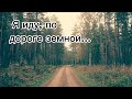 Я иду, по дороге земной | Христианская песня | Соло