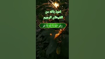 تلاوة خاشعة ومؤثرة بصوت جذاب ومؤثر #القرآن_الكريم #تلاوة_مؤثرة #تلاوة_خاشعة #اكسبلور #دويتو #تيك_توك