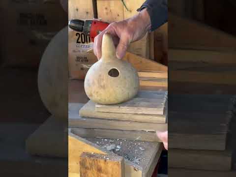 Videó: Gourd Birdhouse Crafts gyerekeknek – Madárház készítése tökből