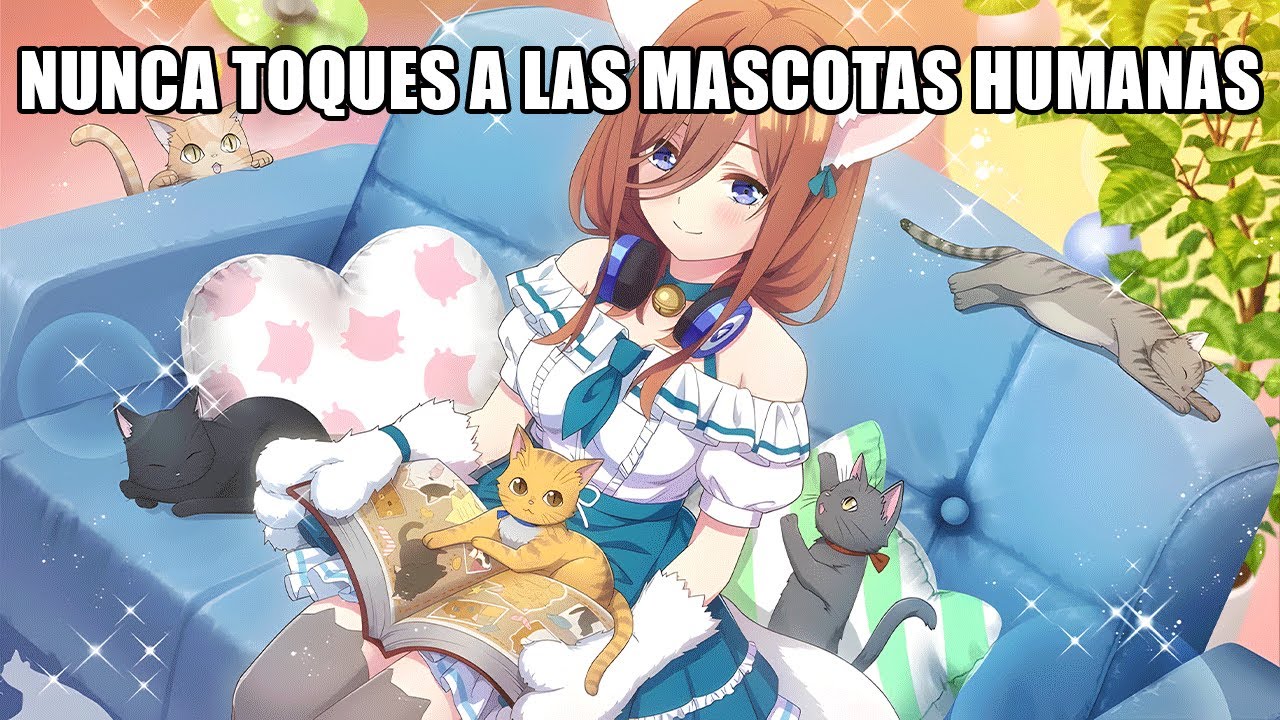 Nunca Toques a las Mascotas Humanas r/HFY