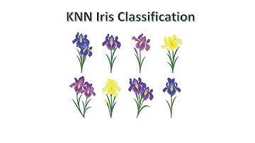 KNN Classification of iris flower dataset, using scikit learn ( Python)