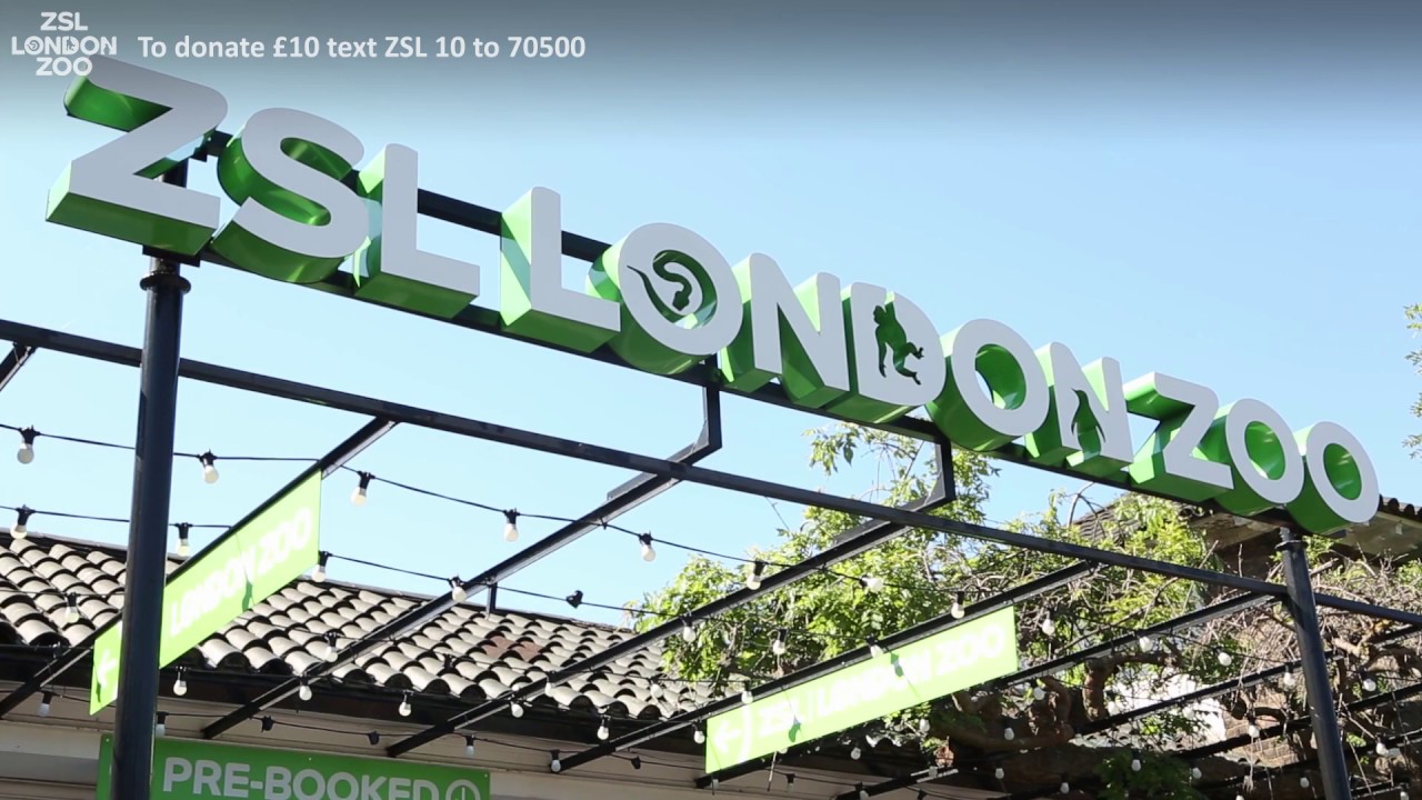 Zsl London Zoo Is Open Youtube