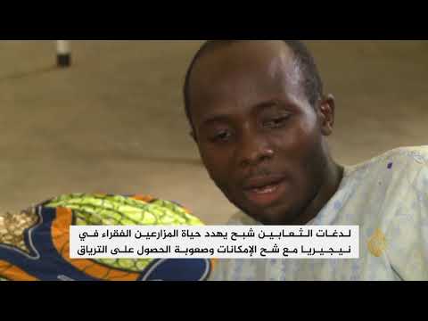 لدغات الثعابين تهدد حياة مزارعين بنيجيريا