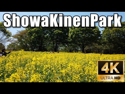 【4K】Japanese garden in Showa Kinen Park 2021