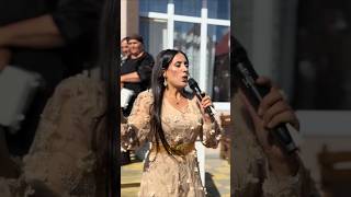 Zîlan Şervan
