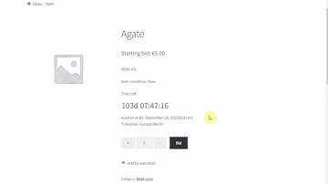 WooCommerce Simple Auctions - how to upload auctions using CSV file and WooCommerce Import Tool