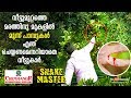 Three snakes on the Courtyard Tree shocks family | Vava Suresh | Snakemaster | EP 391