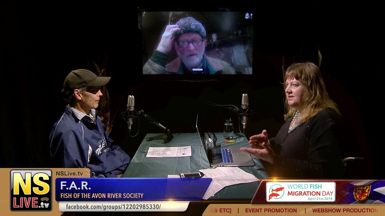 Fish of the Avon River, Fish Migration Day webcast on NSLive.tv - YouTube