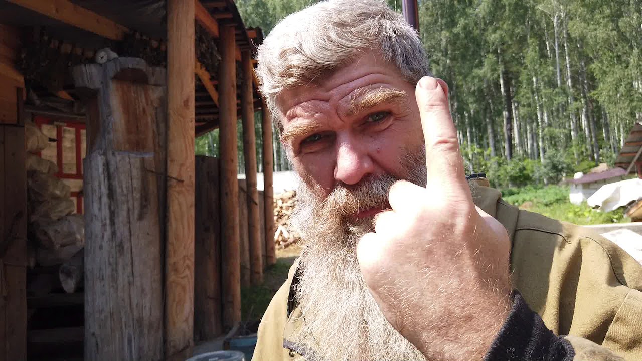 Проект живая баня иван бояринцев