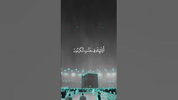 قران #قرآن #اكسبلور #تلاوة_خاشعة #المصحف #yasseraldossary #تلاوات #لايك