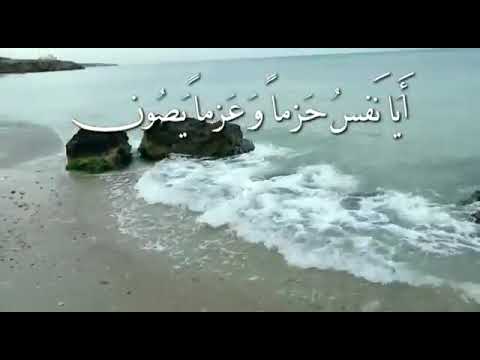فرب رحيم لطيف ودود