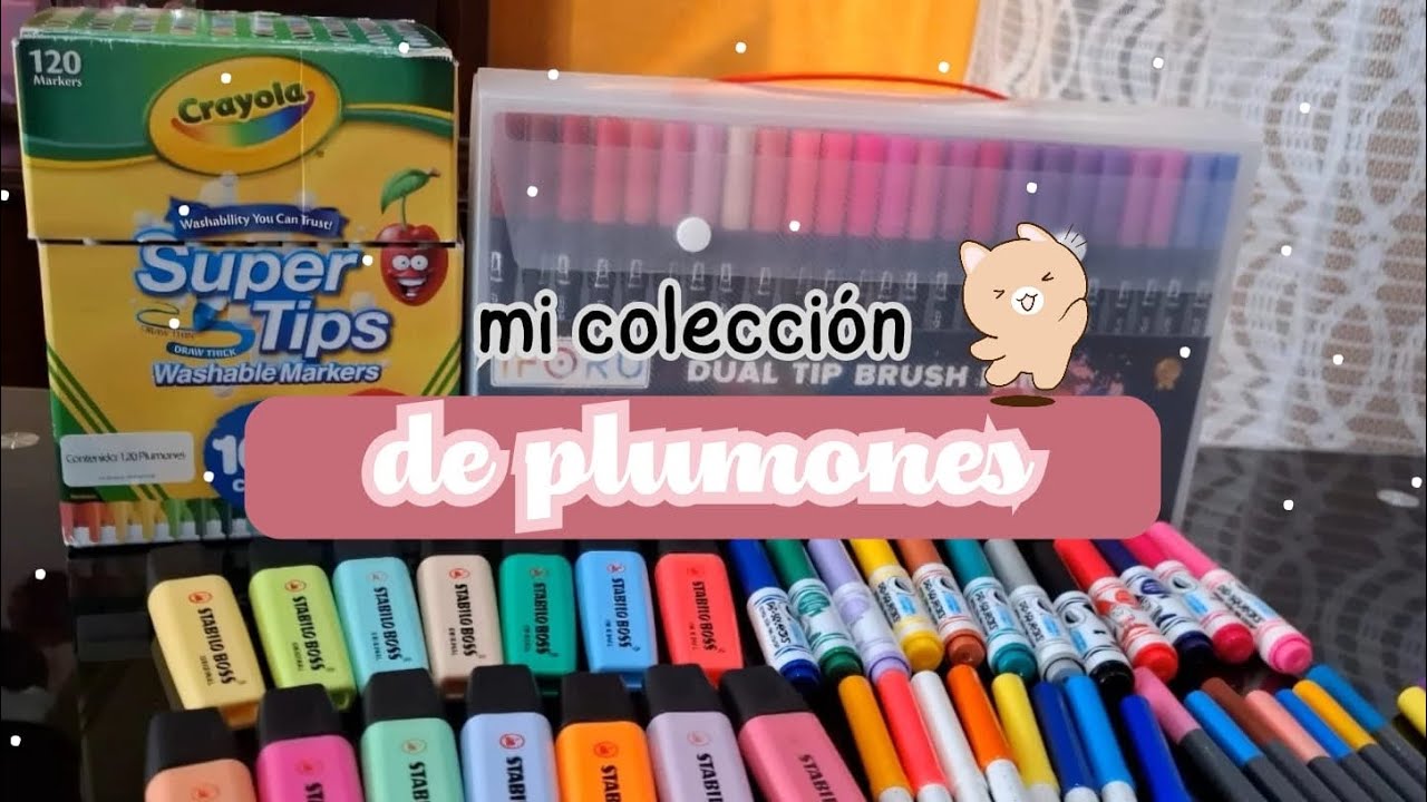 MI COLECCIÓN DE PLUMONES 😱🖍 + Recomendación |Bal Notes🌷