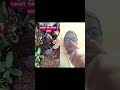 jay jawan 😍 #shorts #video #short