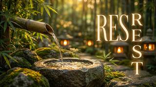 🌙 Soft Piano Sleep Music 🎹 Deep Relaxation, Stress Relief & Peaceful Night Ambience screenshot 3