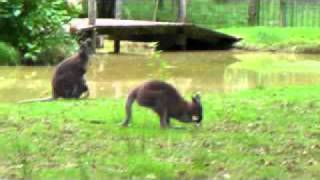 SANY0493.avi