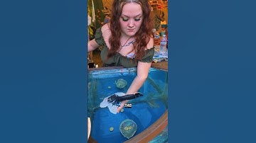 Underwater Art You’ve Never Seen Before