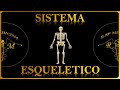 RAP DE LOS 206 HUESOS DEL CUERPO HUMANO