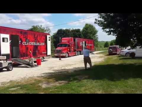 Vídeo: Cómo Clydesdales Se Convirtió En La Mascota De Budweiser En 1933