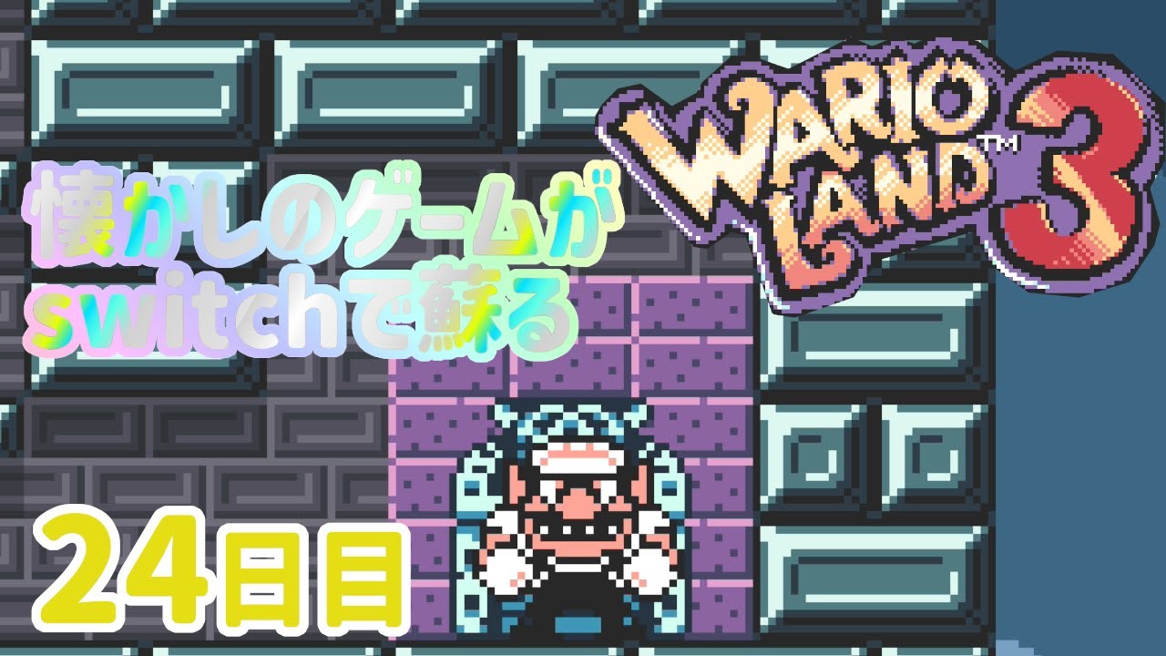 GAME BOY ADVANCE & ワリオランドアドバンス ゲームボーイアドバンス