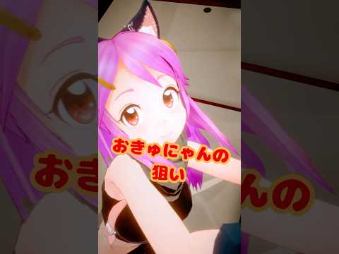 この猫ちゃん、何を探してるの？