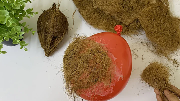 Flower Pot Making with Coconut husk | coconut husk craft ideas | Best Out Of Waste