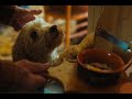 2025 SBIFF Trailer - TRIFOLE