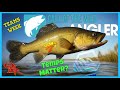 7 diamonds for teams week win  do water temps matter  tench warfare  call of the wild theangler