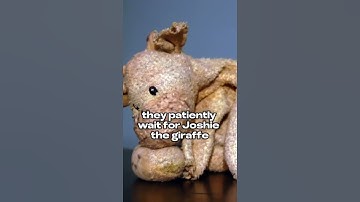 A Nice Story on Customer Experience