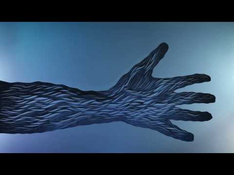 Explosions In The Sky - The Ecstatics (Official Video)