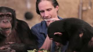 Chimp Family Dinner! Summer Salads & Strawberry Shortcake 🍓🥗 by Myrtle Beach Safari 20,065 views 1 year ago 19 minutes