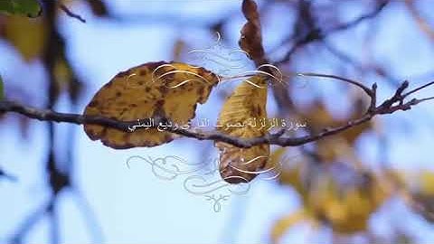 سورة الزلزلة بصوت القارئ وديع اليمني #سورة_الزلزلة_بصوت_القارئ_وديع_اليمني