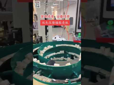 Double Head Terminal Crimping and Plastic Housing Insertion Machine for Home Appliance - Shorts