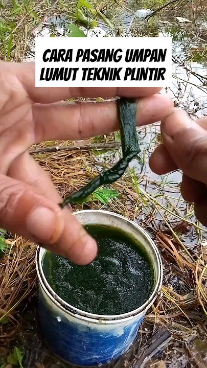 Cara pasang umpan lumut teknik plintir #mancingmania #carapasanglumut #mancingliar #fishing